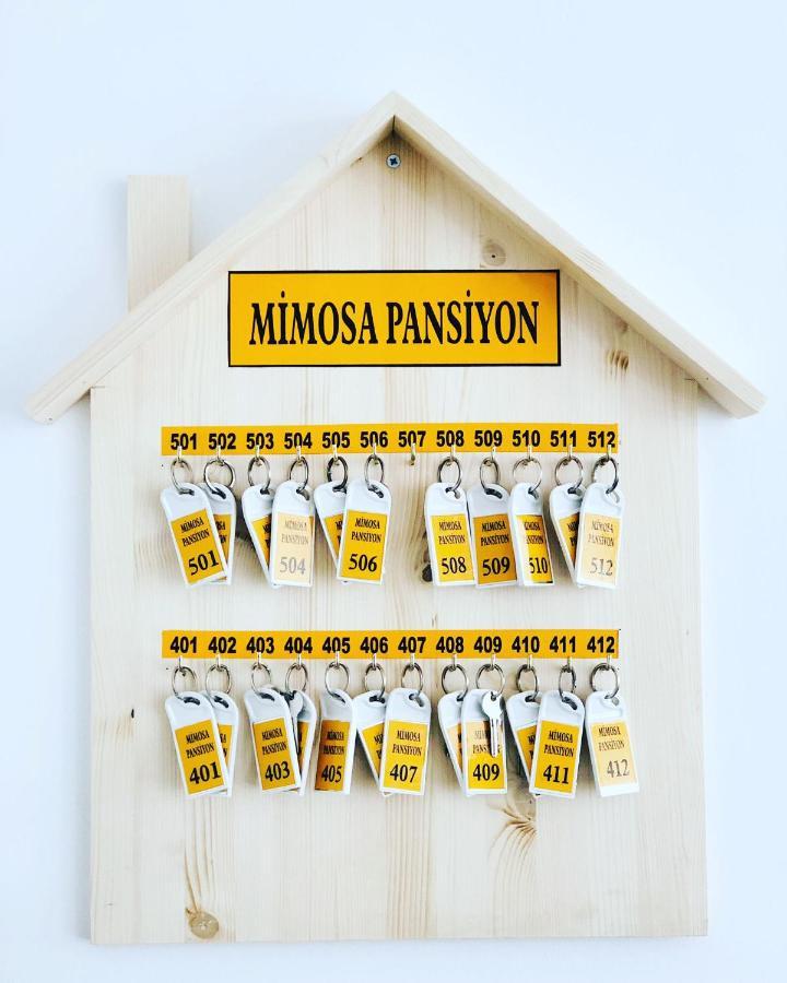 Mimosa Pension كاس المظهر الخارجي الصورة